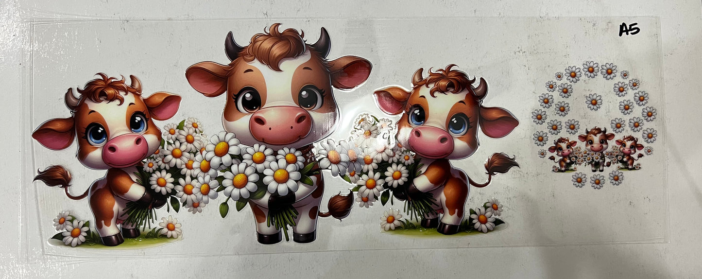 A5 Baby cows with whited daises with lid