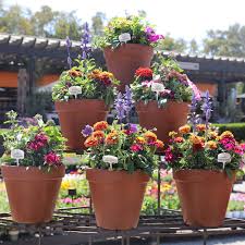 PIck A Flower Pot