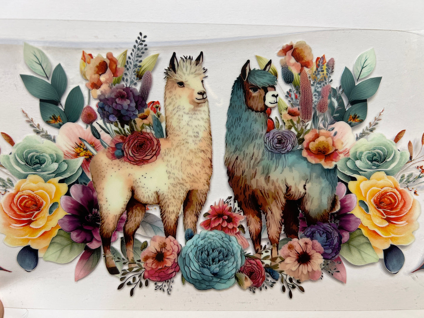 A21 lama with flowers