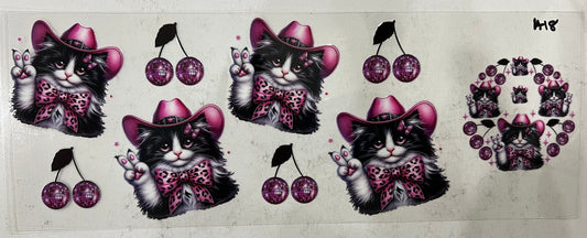 A18 Cat with pink cowgirl hat and cherries with lid